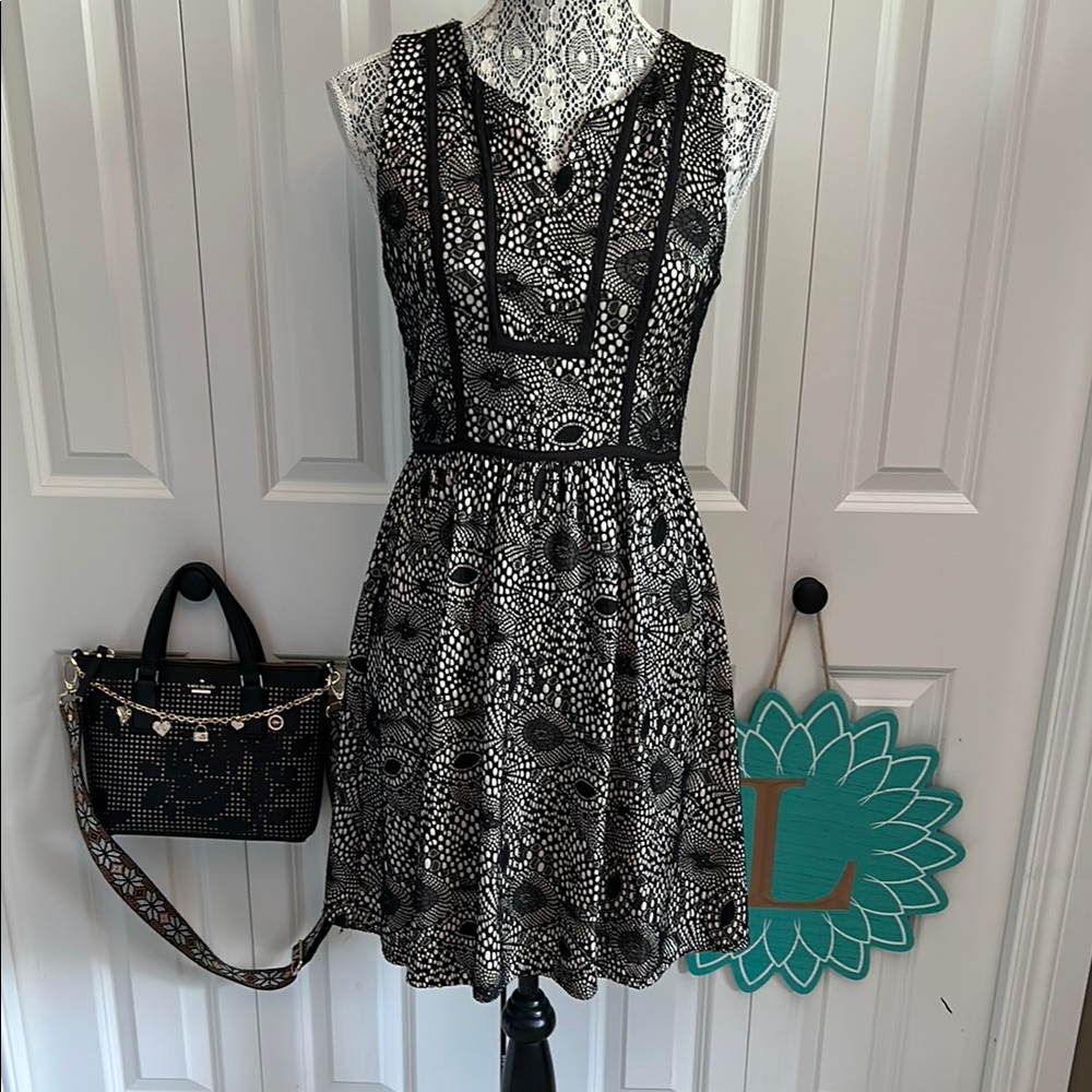Esley Black and Cream Fit and Flare V-Neck Mini Dress